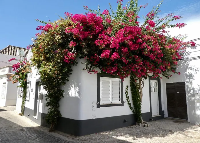 - Colinas Da Boavista 아파트 *