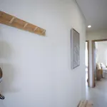 Appartement - Colinas Da Boavista
