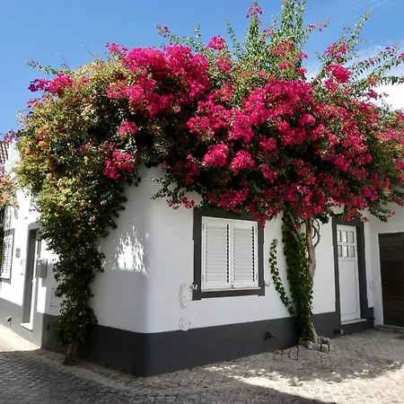 - Colinas Da Boavista Lejlighed *